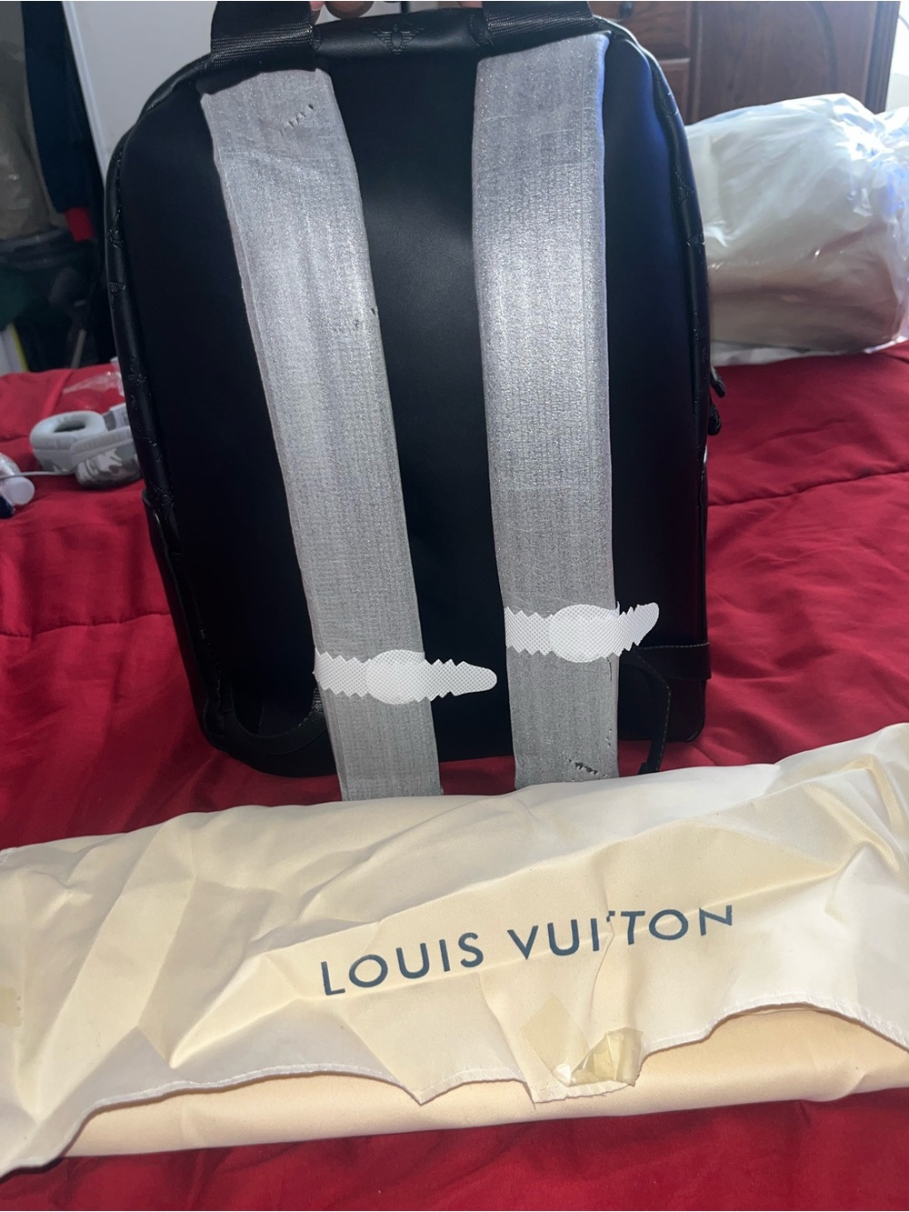 LV Backpack - Picture 4 of 7